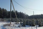 купить дом область